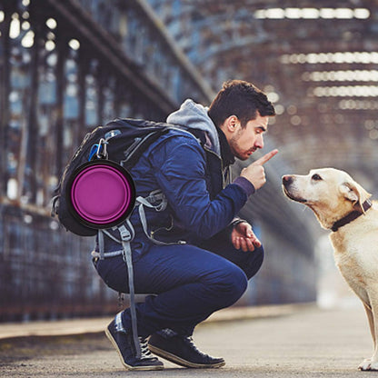 Large Collapsible Dog Bowls, 34Oz Travel Water Food Bowls Portable Foldable Collapse Dishes with Carabiner Clip, 2 Pack