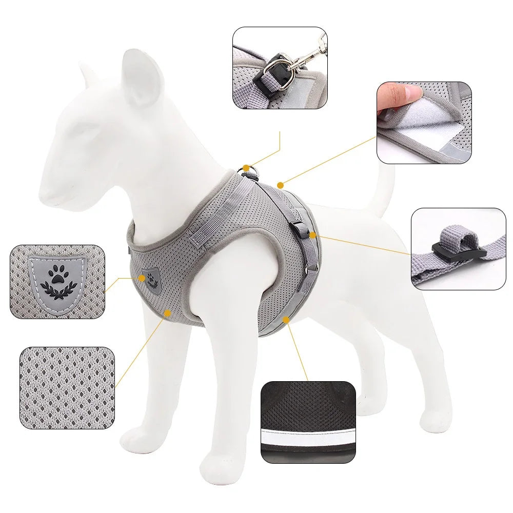 Quality Dog Harness and Leash Set Dog Accessories for Small Dog Chest Harness Dog Leash French Bulldog Pug Medium Pet Supplies