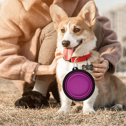 Large Collapsible Dog Bowls, 34Oz Travel Water Food Bowls Portable Foldable Collapse Dishes with Carabiner Clip, 2 Pack