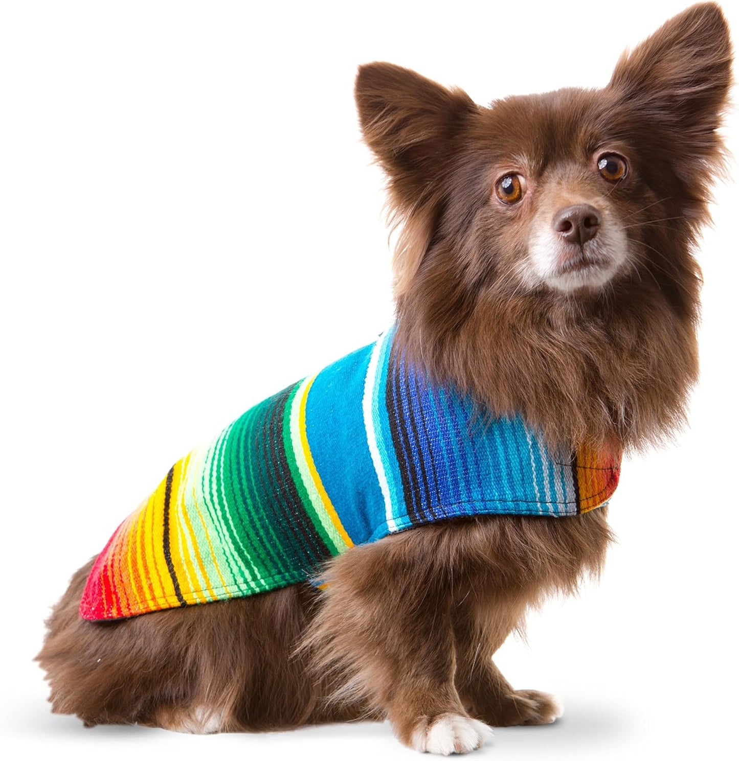 Dog Clothes - Handmade Dog Poncho from Authentic Mexican Blanket (Blue, XXS)